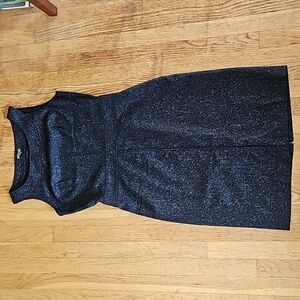 Ann Taylor wool sheath dress 10